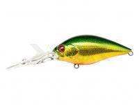 Señuelo Pontoon21 Deephase 70F | 7cm 15.6g - 083 Gold Green