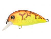 Señuelo Pontoon21 Hypnose 38F SR | 38mm 3.7g - 075 Chartreuse Brown