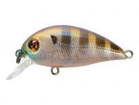 Señuelo Pontoon21 Hypnose 38F SR | 38mm 3.7g - 108 Ghost Gill