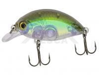 Señuelo Quantum Fat Minnow SR 6.5cm 10g - real shiner