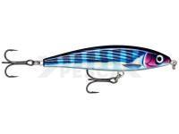 Señuelo duro Rapala X-Rap Magnum Prey 10cm 41g - HDBTO HD Bonito