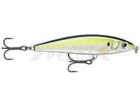 Señuelo duro Rapala X-Rap Magnum Prey 10cm 41g - PLD Pilchard