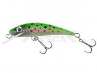 Señuelo River Custom Baits Fury 5 cm 4g - T008