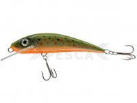 Señuelo River Custom Baits Fury 7 cm 6g - T015