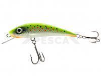 Señuelo River Custom Baits Fury 7 cm 6g - T017