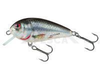 Señuelo Salmo Butcher BR5S | 5cm 7g - HRD (Holographic Real Dace)