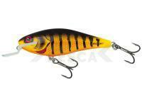 Señuelo Salmo Executor IEX9SR Natural Perch