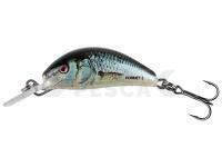 Señuelo Salmo Hornet 2.5cm 2.4g S - Real Dace