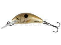 Salmo Hornet 3.5cm 2.6g Floating - Pearl Shad