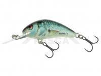 Salmo Hornet H4F RD