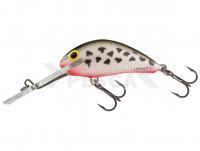 Salmo Hornet H4SDR DA