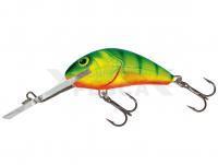 Salmo Hornet H4SDR HP