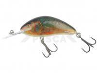 Salmo Hornet H9F - Real Roach