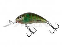 Señuelo Salmo Hornet Rattlin H3.5 - Green Gill Clear