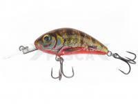 Señuelo Salmo Hornet Rattlin H3.5 -  Yellow Holographic Perch