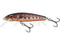 Señuelo Salmo Minnow Floating 7 | 7cm 6g | 2 3/4" 3/16oz - Fresh Water Minnow