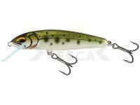 Señuelo Salmo Minnow Floating 7 | 7cm 6g | 2 3/4" 3/16oz - Yasame Ayu