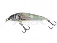 Señuelo Salmo Minnow M5F - Holo Bleak