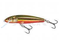 Señuelo Salmo Minnow M5S - Rainbow Dace