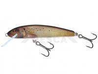 Señuelo Salmo Minnow M6F 6cm - Grayling