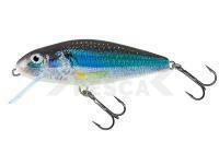 Señuelo Salmo Perch PH12F - Holo Smelt