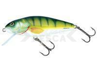 Señuelo Salmo Perch PH12F - Perch