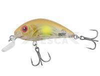 Señuelo Salmo Rattlin Hornet Shallow SR 4.5cm 5.5g - Clear Ayu (CAYU)