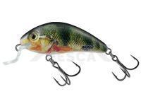 Señuelo Salmo Rattlin Hornet Shallow SR 4.5cm 5.5g - Supernatural Perch (SP)