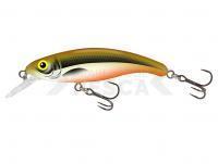 Señuelo Salmo Slick Stick 6cm - Hot Olive (HO)