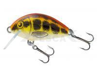 Señuelo Salmo Tiny IT3F Baby Minnow (BMI)