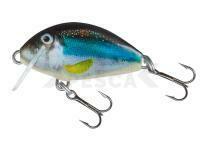 Señuelo Salmo Tiny IT3F - Holo Smelt (HSM)