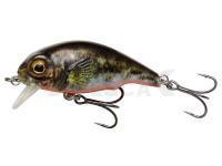 Señuelo Savage Gear 3D Goby Crank SR 5cm 6.5g - UV Red and Black Fluo