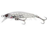 Señuelo Mar Savage Gear Gravity Minnow 6cm 12g Fast Sinking - Crystal White Glow