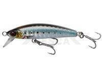 Señuelo Mar Savage Gear Gravity Minnow 6cm 12g Fast Sinking - Sardine Photo Print