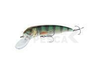 Señuelo Savage Gear Sucker Flanker 20cm 58g - Perch Glitter