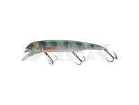 Señuelo Savage Gear Sucker Flanker 25cm 107g - Perch Glitter