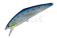 Señuelo Smith D-Contact 110mm 26g - 48 Sardine