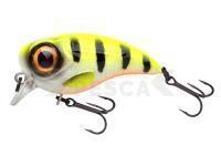 Señuelo Spro Fat Iris 40 SF | 4cm 5.3g - Hot Perch