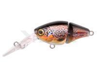 Señuelo Spro IKIRU Double Crank 35F | 3.5 cm 3.4 g - Brown Trout