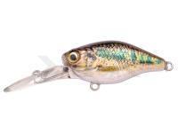 Señuelo Spro IKIRU Mini Crank 38F LL | 3.8 cm 4 g - Gudgeon