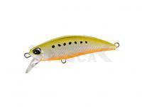 DUO Señuelo Tetra Works TOTO 48HS | 48mm 4.3g | 1-7/8in 1/8oz - AST0333 Golden Sardine