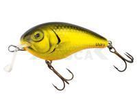 Señuelo Vidra Lures Nautilus Shallow Runner | 6 cm 13 g SR F - GL