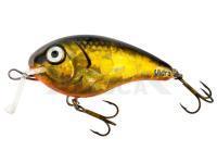 Señuelo Vidra Lures Nautilus Shallow Runner | 6 cm 13 g SR F - GLH