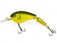 Señuelo Vidra Lures Nautilus DR Jointed | 8.50 cm 11 g F - FYB