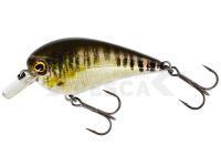 Señuelo Westin BassBite Squarebill BassBite 1.5 | 6cm 13g - Real Minnow