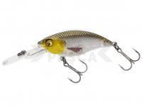 Señuelo duro Westin BuzzBite Crankbait 4cm 4g - Gold Headlight Limited