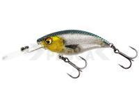 Señuelo duro Westin BuzzBite Crankbait 4cm 4g Low Floating - 3D Headlight