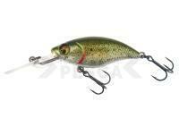 Señuelo duro Westin BuzzBite Crankbait 6cm 10g Suspending - Lake Roach