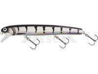 Señuelo duro Westin Jätte Crankbait 17cm 47g - Great Silver