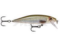 Señuelo Rapala X-Rap CountDown 5cm - Live Roach